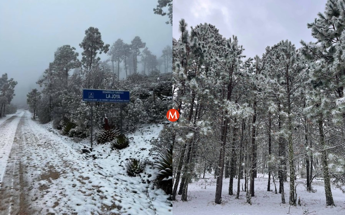 Así luce Miquihuana, Tamaulipas tras caída de nieve hoy 8 febrero 2022. (Mario Ramos)