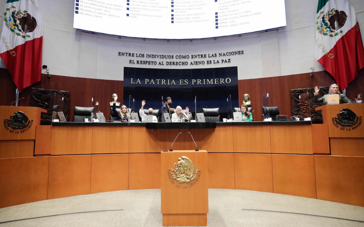 El autor o titular de los derechos patrimoniales estará obligado a pagar al traductor una remuneración proporcional. | Especial