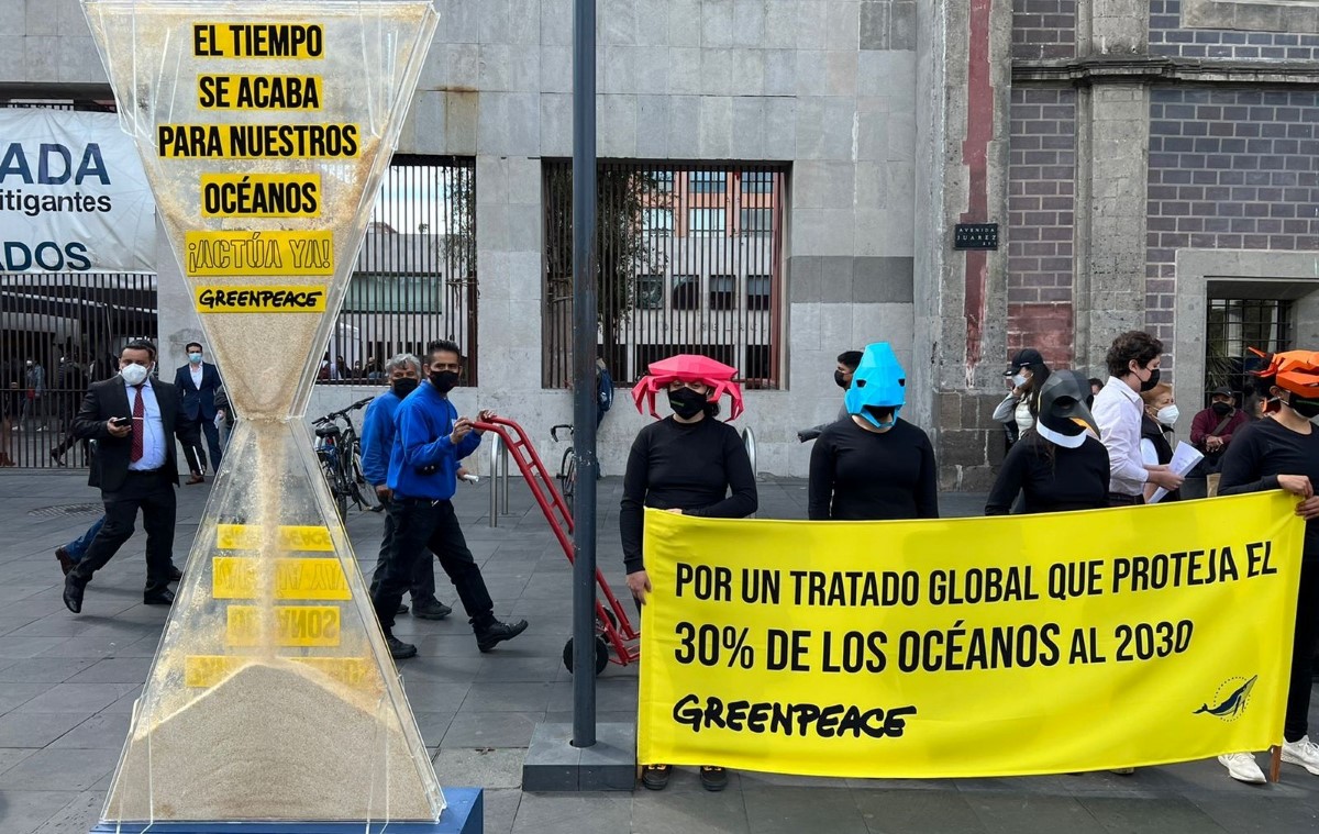 Los activistas se reunieron con autoridades de la SRE. | Ramón Ramírez