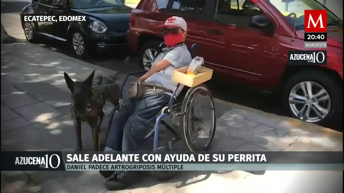Binomio perfecto, Daniel sale adelante con ayuda de su perrita