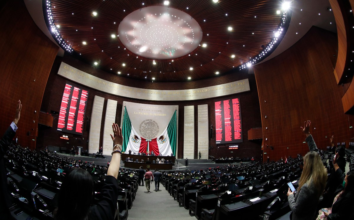 La propuesta es que asistan el próximo miércoles 23 de febrero a las 11:00 horas al parlamento abierto. | Especial