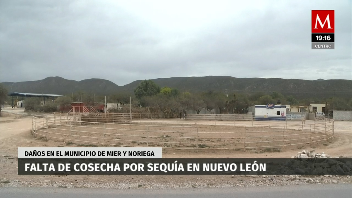 Sequía en el sur de NL azota a más municipios
