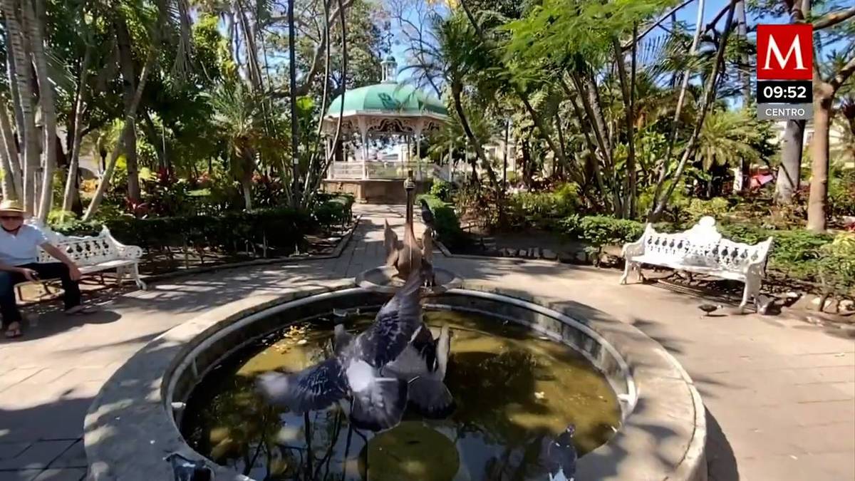 “Tuba” bebida refrescante de origen Filipino, Colima