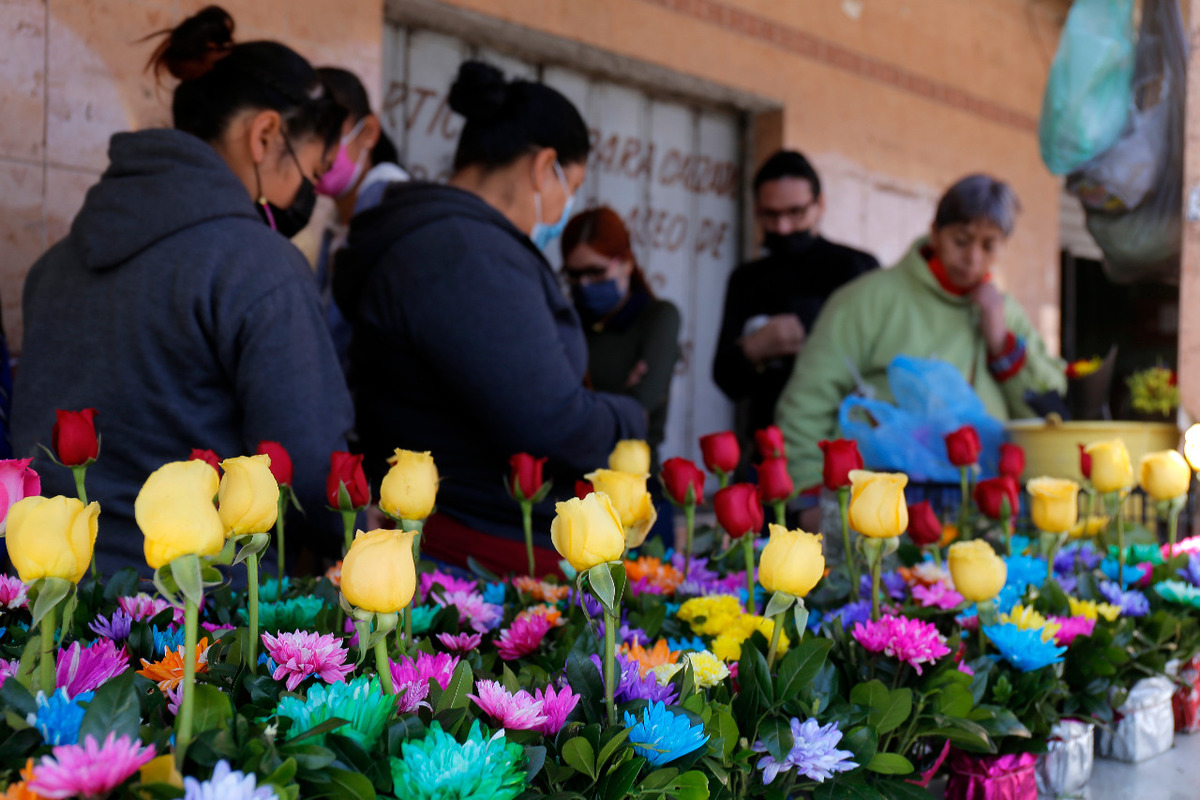 Las heladas en el Estado de México quemaron casi toda la producción, por lo que el costo de las flores aumentó. | Martín Piña