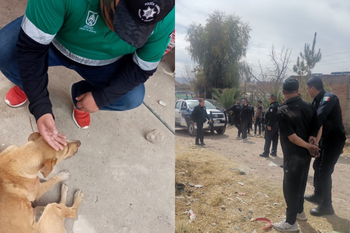 La Policía Ambiental, fue quien detuvo a los presuntos responsables. (Especial)