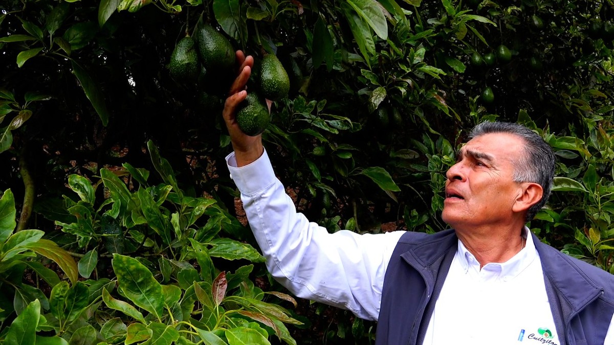 Bosques y huertas en armonía | Conexión Milenio