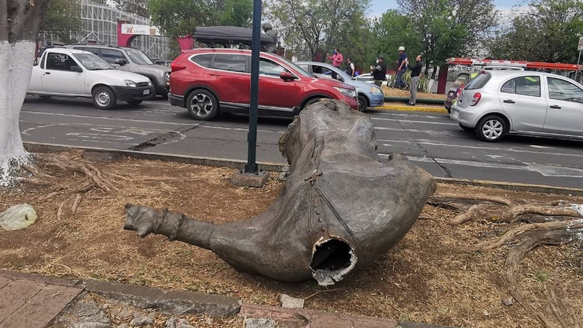 Indígenas derriban y decapitan estatua de Fray Antonio