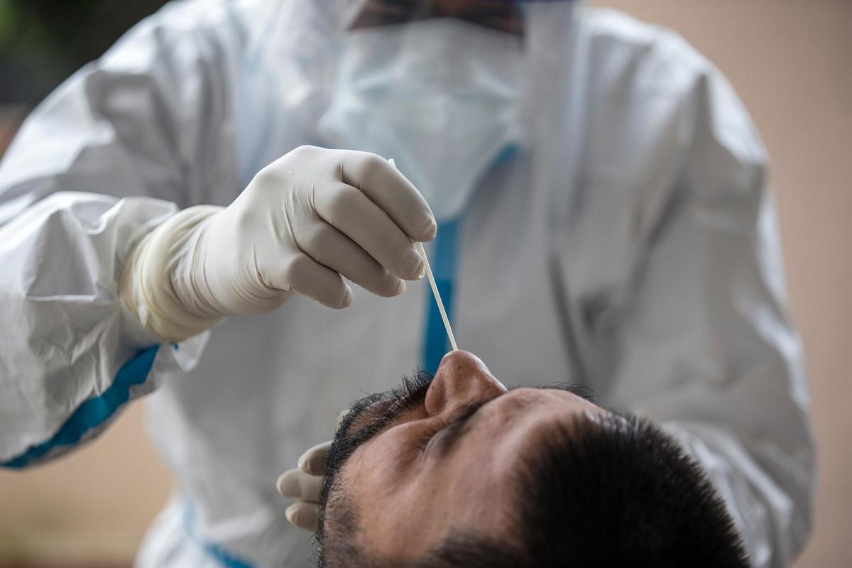 Un modelo de nariz humana desvela cómo comienza la infección por SARS-COV-2 | EFE