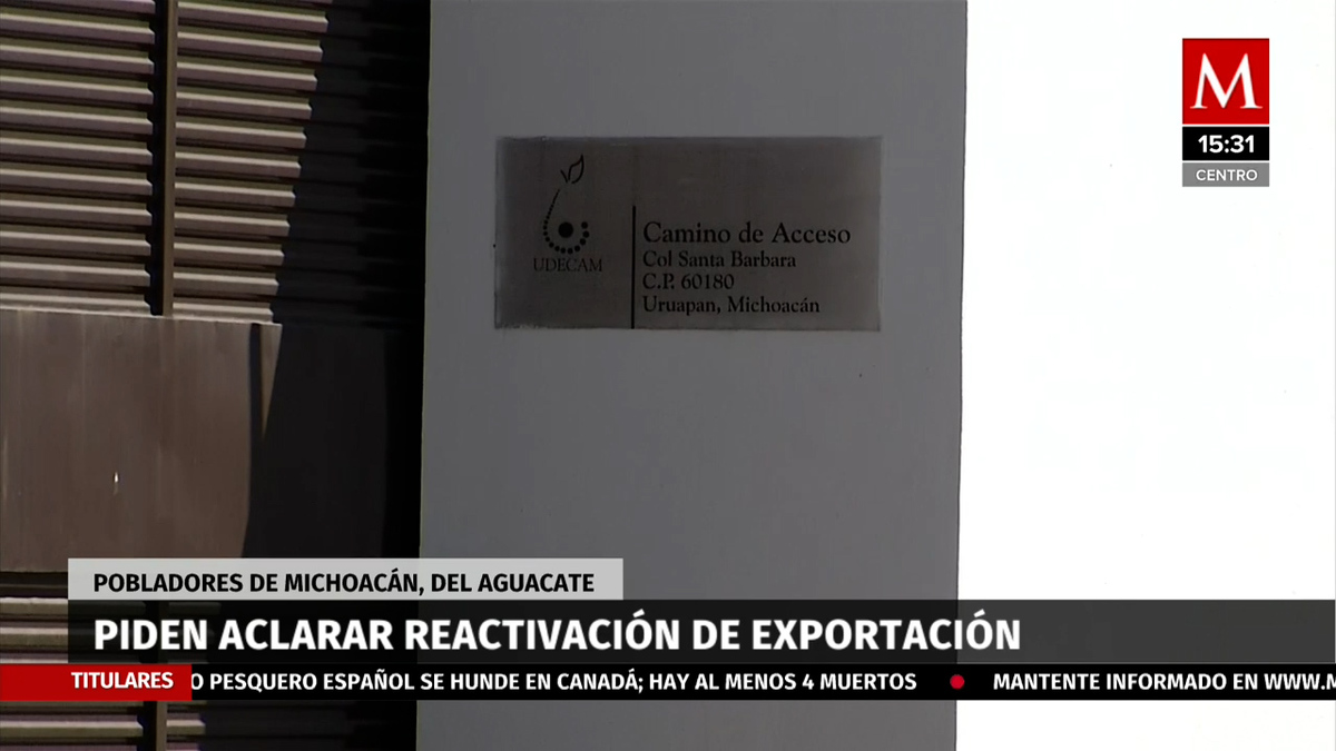 Pobladores piden aclarar reactivación de la exportación de aguacate