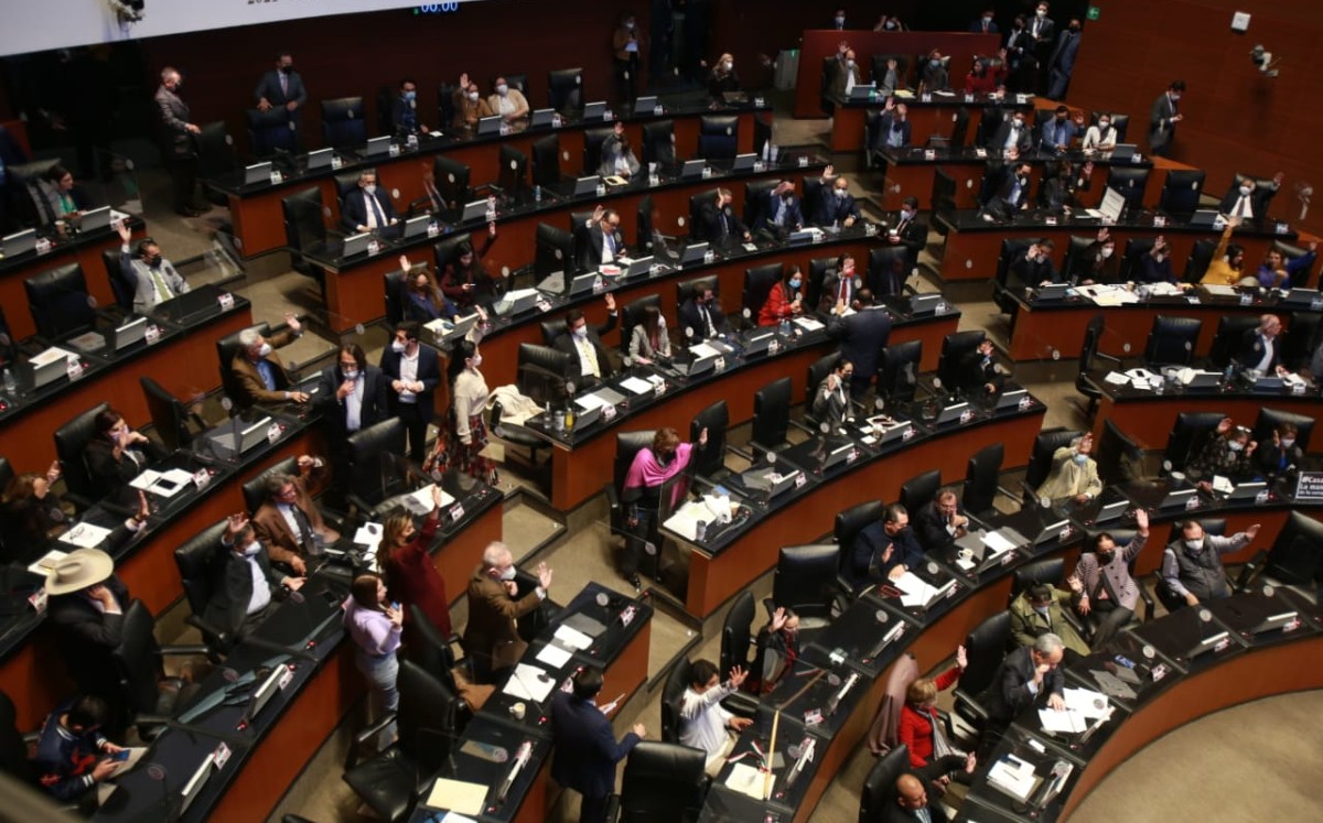 Propone que el IMSS e ISSSTE otorguen este derecho a las personas que ejerzan la tutela de los enfermos. | Juan Carlos Bautista