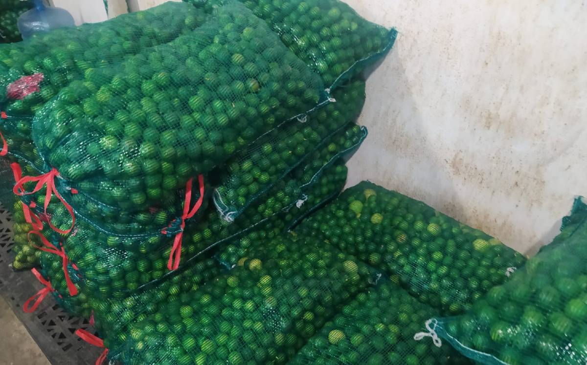 En días pasados el precio del limón registró se elevó al 70%.-