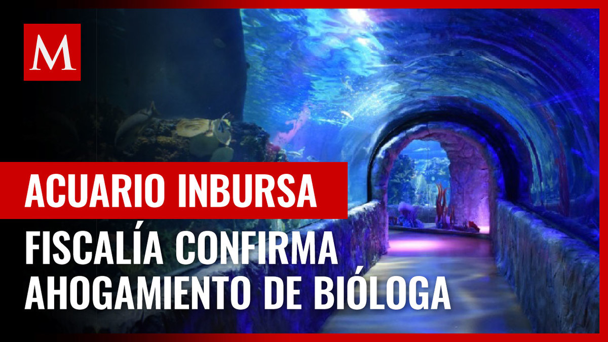 Bióloga marina de acuario Inbursa murió de asfixia por sumersión: FGJ