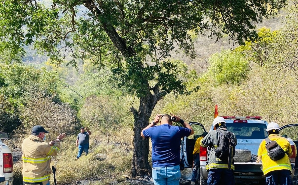 Se adelanta temporada de incendios forestales en Tamaulipas: