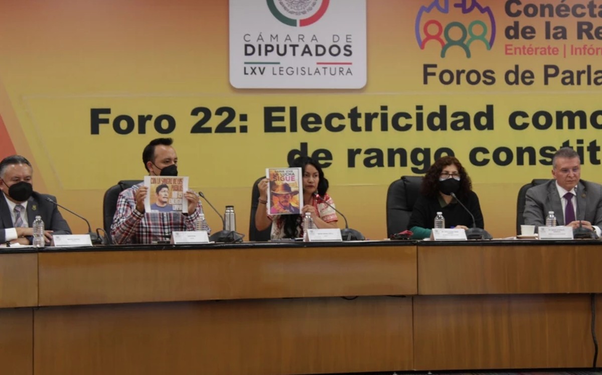 En un comunicado, subrayaron que la generación de energía por parte de la CFE ya ha violado derechos. | Especial