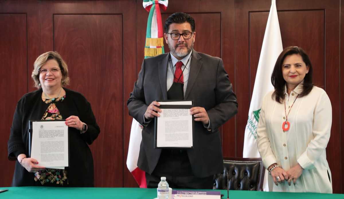 En las anteriores elecciones se vió una mayor participación de las mujeres