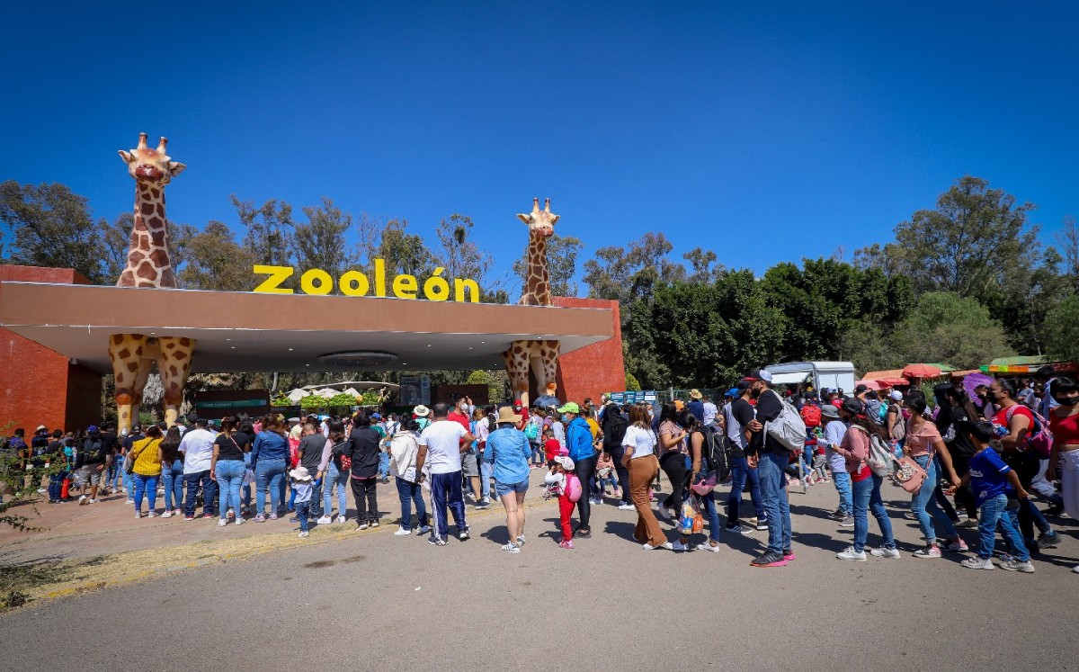 Parques como el Zoológico de León han registrado una afluencia cada vez mayor tras la iniciativa / Cortesía