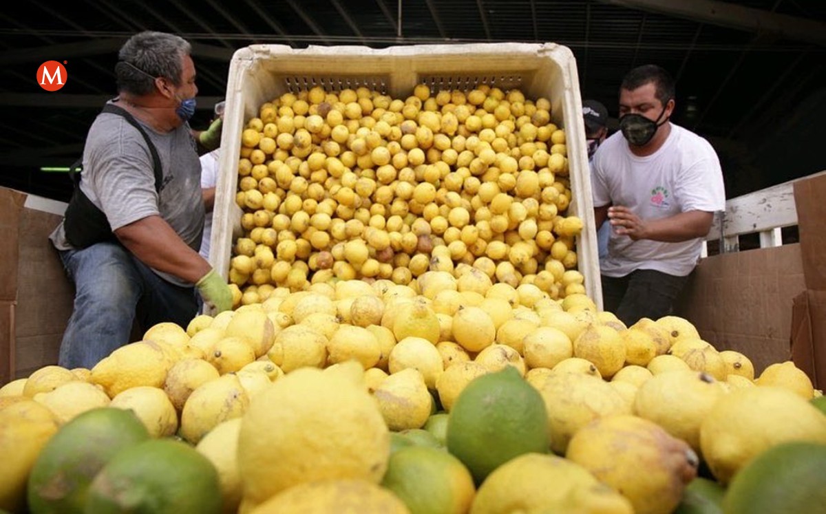Donan 45 toneladas de limón a Tamaulipas. (@dif_tam)