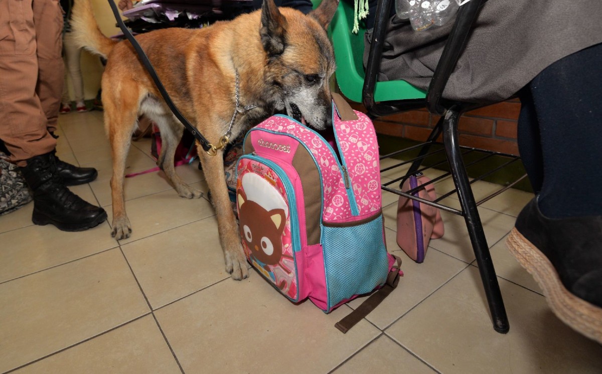 Redim aseguró que el programa Mochila Segura criminalizaba a las infancias. | Cuartoscuro