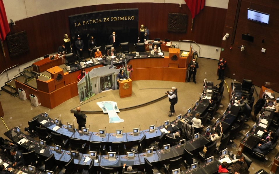 Senadores de Morena presentarán juicio para proteger derechos