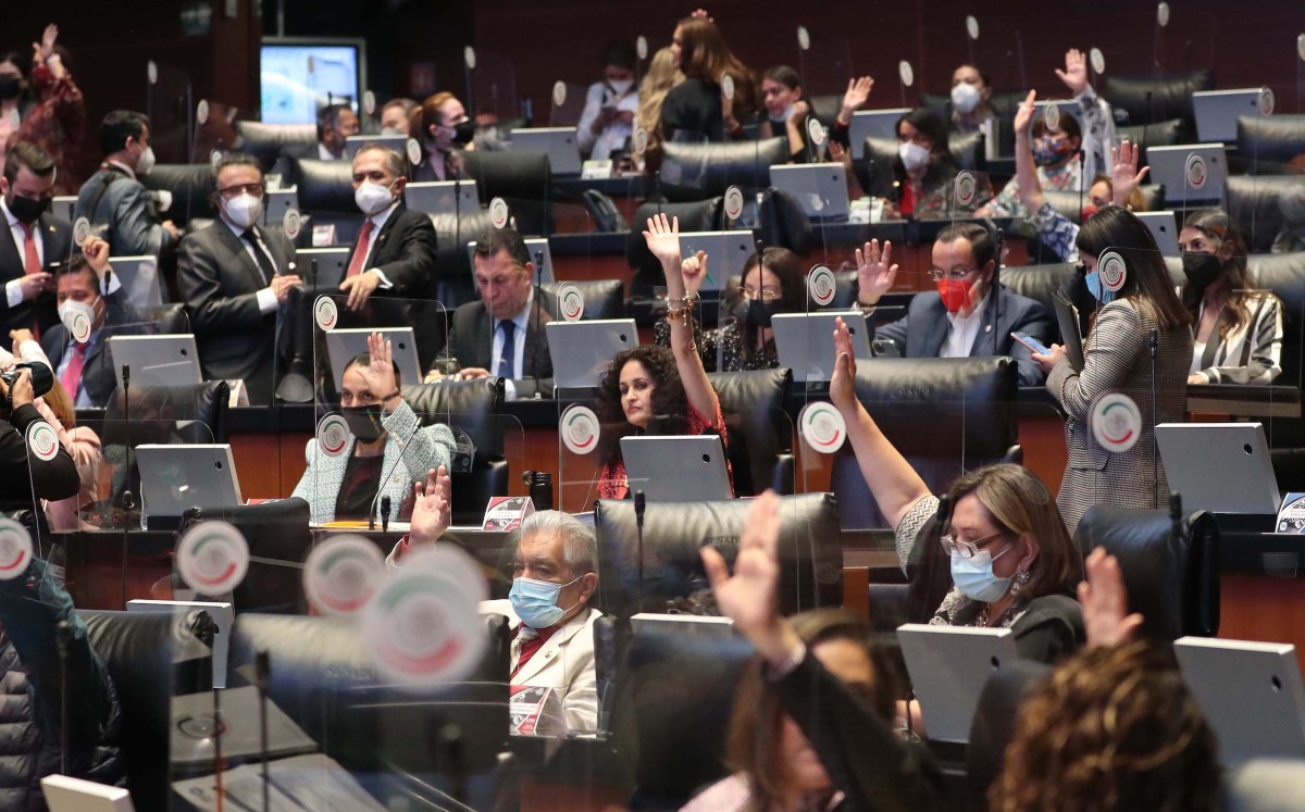 Indira Rosales consideró que dentro del dictamen hay varias inconsistencias. | Especial