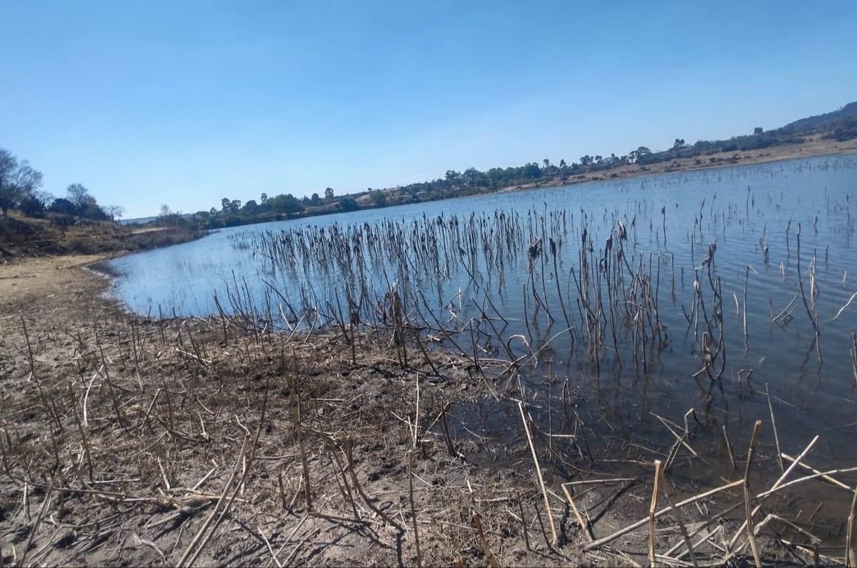Piden alejarse de la zona para evitar incidentes. (Facebook)