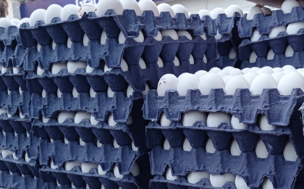 La producción de huevo en la zona de Tehuacán ha soportado a un mercado atípico | Especial
