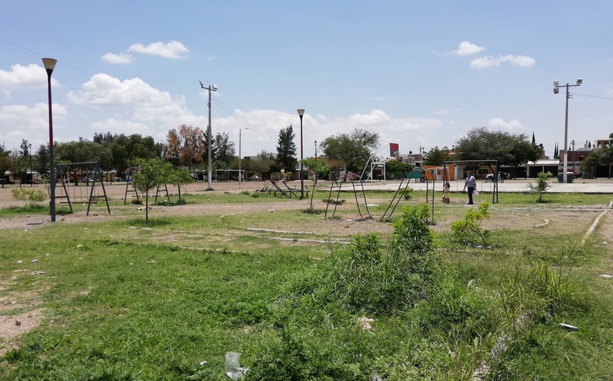 En redes sociales podrás denunciar robo y vandalismo en Tampico