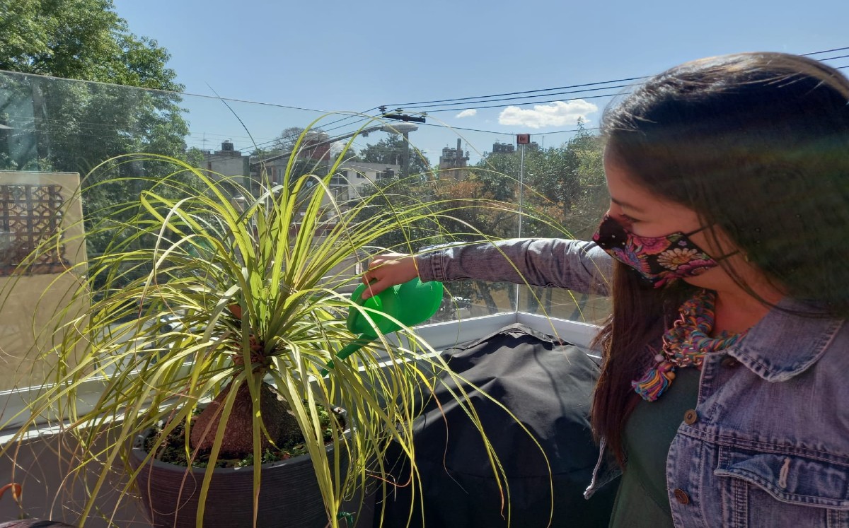Sedema invita a captar agua pluvial.