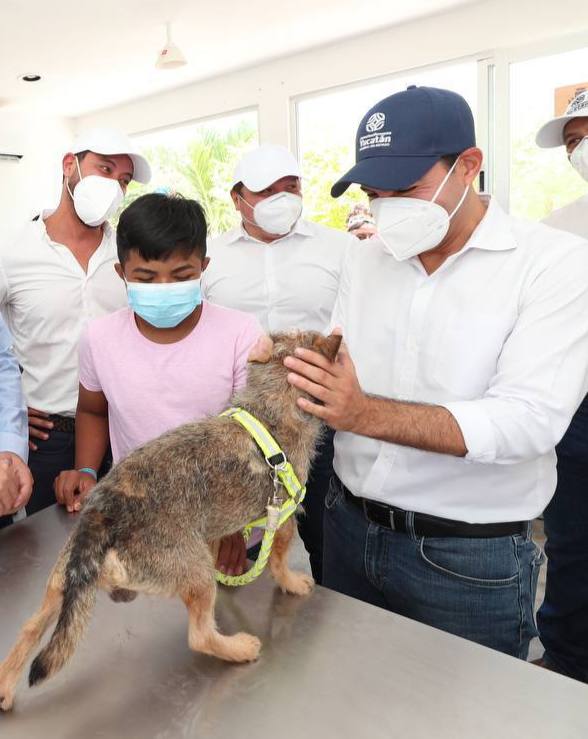 Se busca proteger a los animales domésticos. (Daniel Barquet)