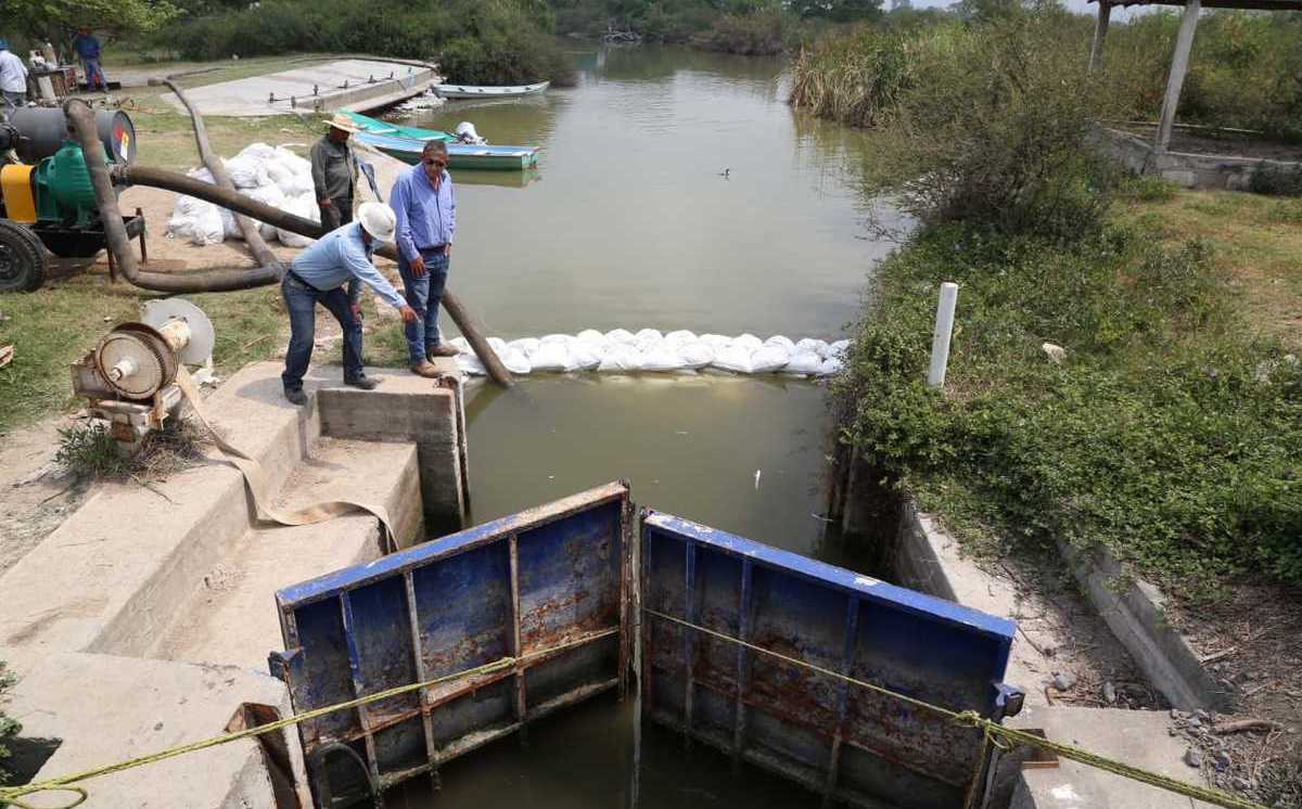https://images.milenio.com/p-ksAXb81w2GdZsr5kJw01JYNPM=/958x596/uploads/media/2022/02/24/comienza-reparaciones-dique-camalote-yazmin-3_0_27_1200_746.jpeg