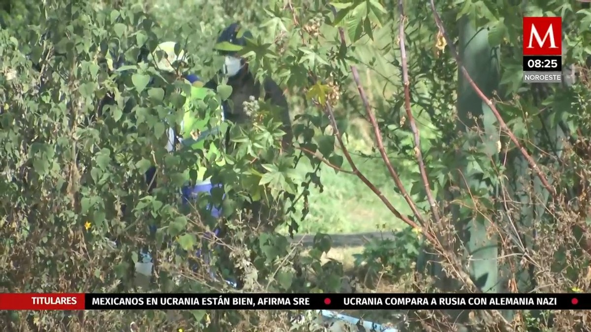 Reportan hallazgo de cadáveres en los canales de Xochimilco