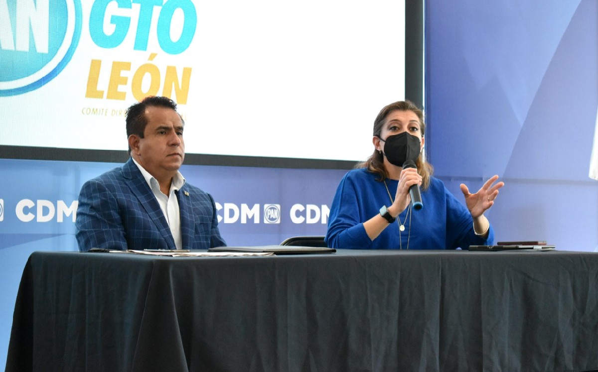 La diputada local por el PAN, Cristina Márquez, informó que se realizará un análisis integral / Cortesía