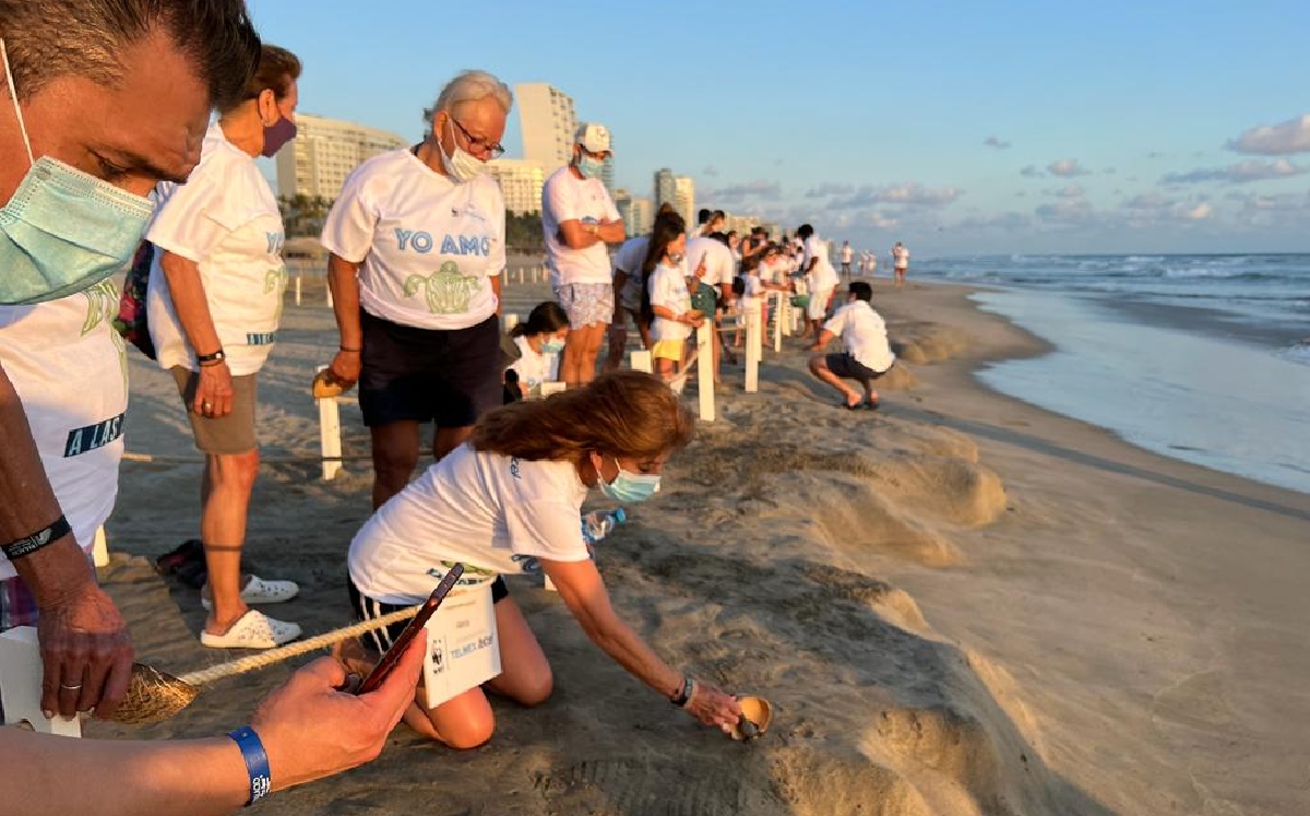 Durante dos días, los asistentes formaron parte de seis liberaciones en la playa. | WWF