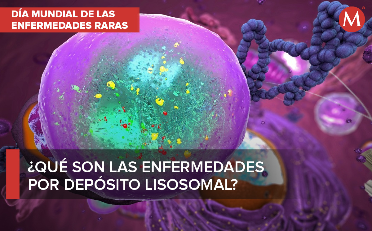 Las enfermedades de depósito lisosomal son padecimientos raros | Especial