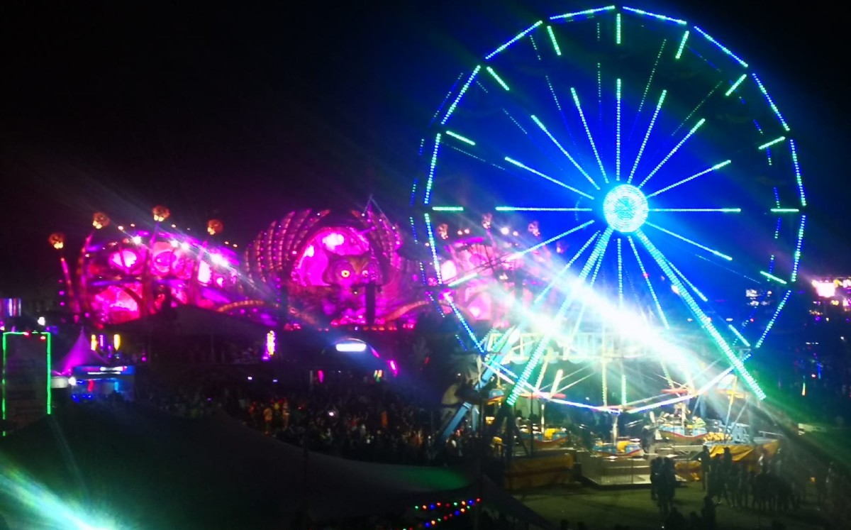 Así se vivió el segundo día del EDC (Adriana Jiménez).