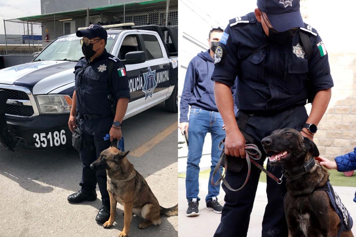 Binomio canino de la Policía de Torreón. (Especial)