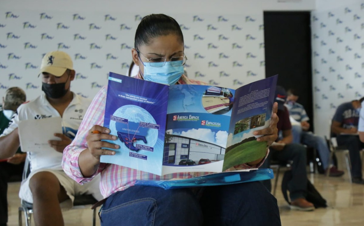 Mujeres de Tamaulipas buscan empleo en los recientes meses.
