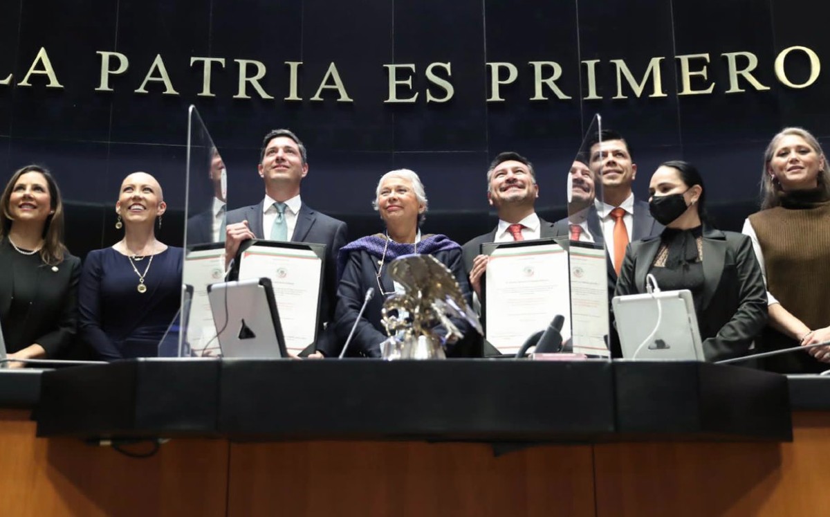 La ratificación de Cámara Ávalos fue aprobada por 103 votos a favor y una abstención. | Twitter