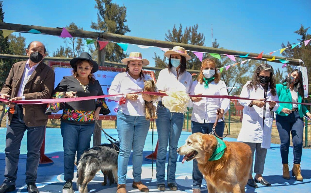 Alcaldes de Morena inauguran el parque canino más grande de CdMx. | Especial