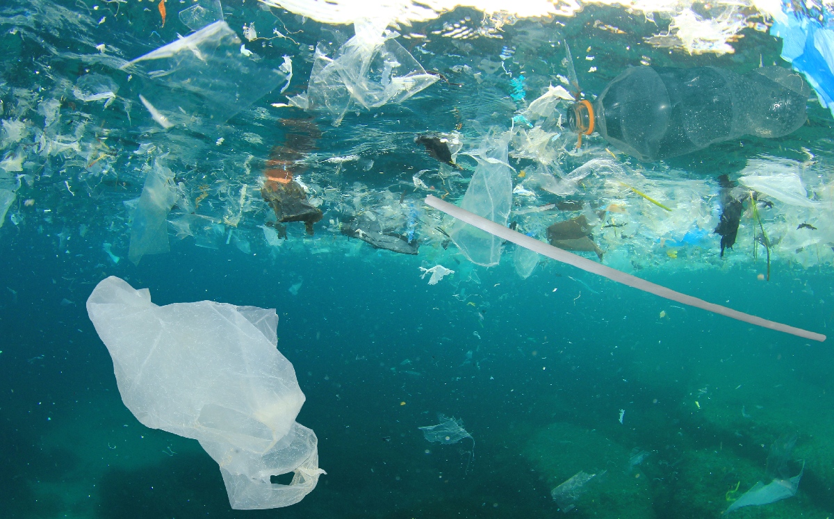 Los océanos han gravemente afectados por la contaminación de plástico en el mundo. | Shutterstock