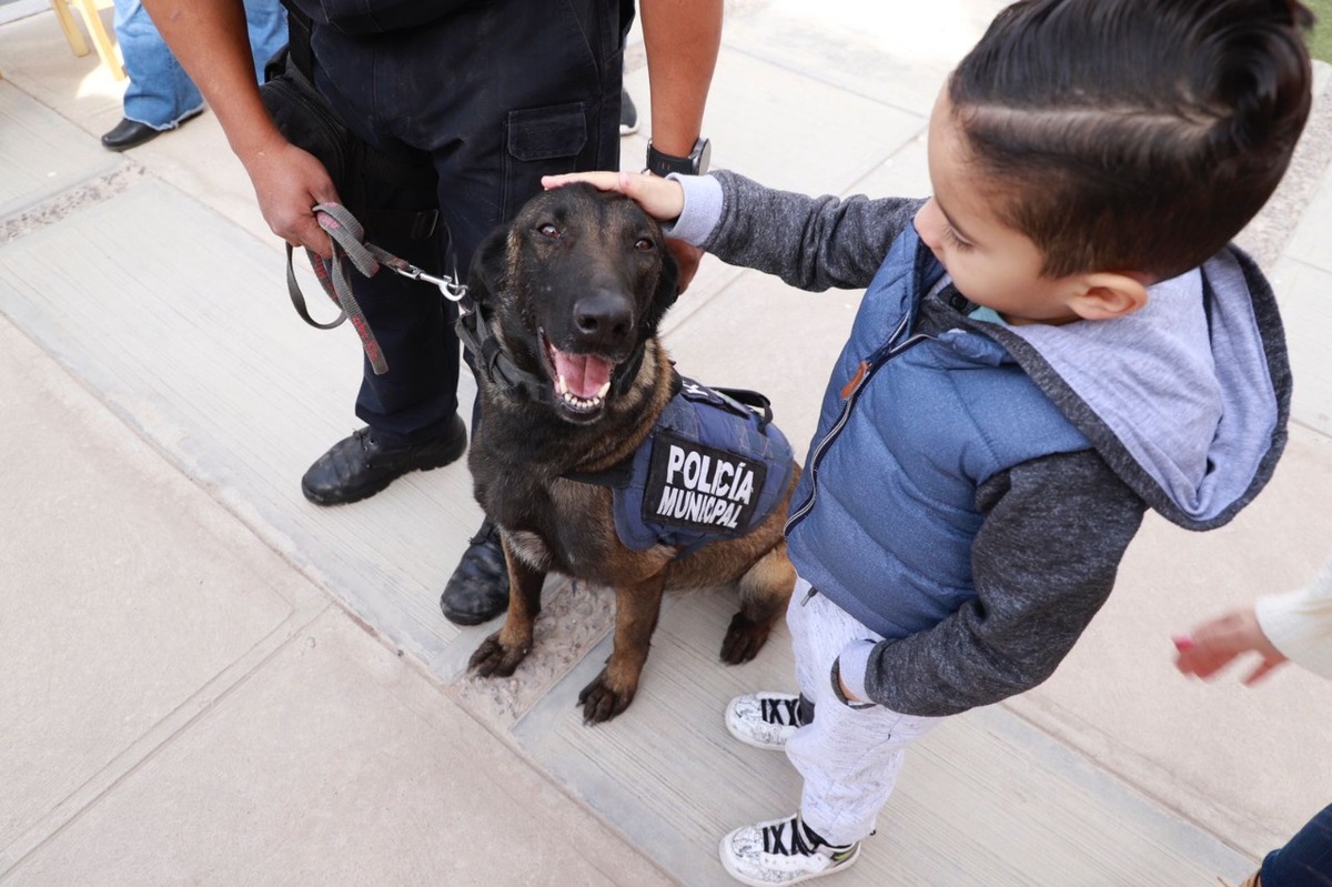 Policía de Torreón ofrecerá curso de adiestramiento canino | Notivox Dital