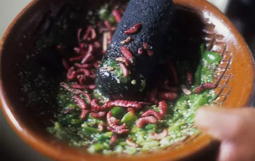 Salsa de chinicuiles. (Cortesía)