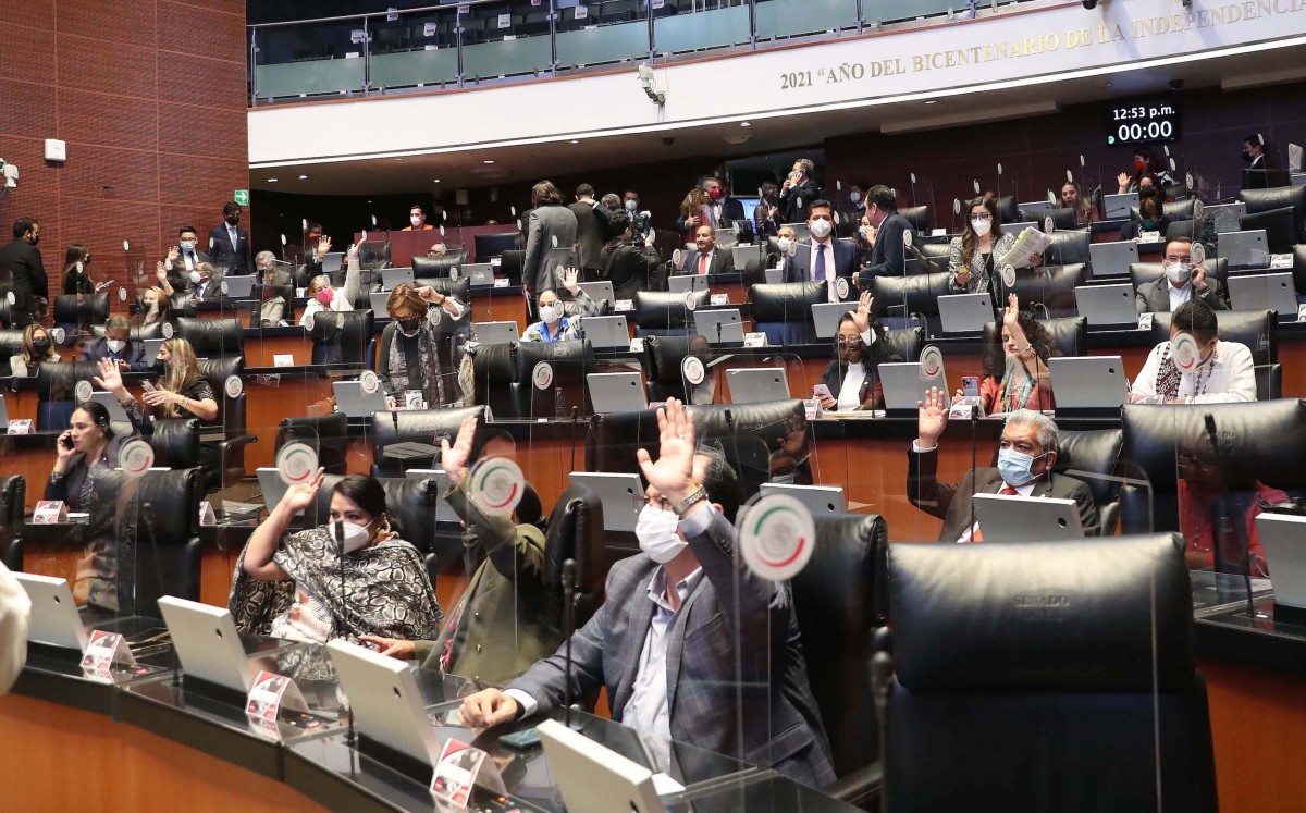 La senadora Martha Lucía Micher deseó suerte a Martha Márquez. | Especial