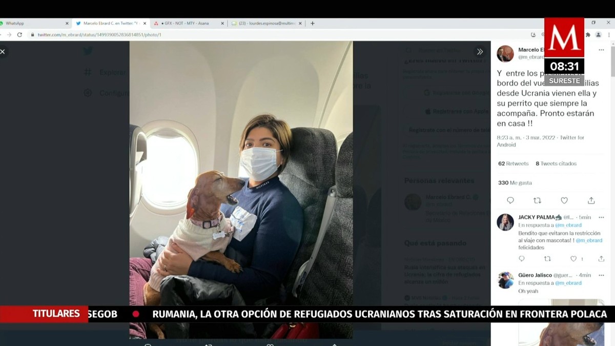 Viajan a CdMx mexicanos rescatados desde Ucrania