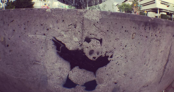 Chapu-panda