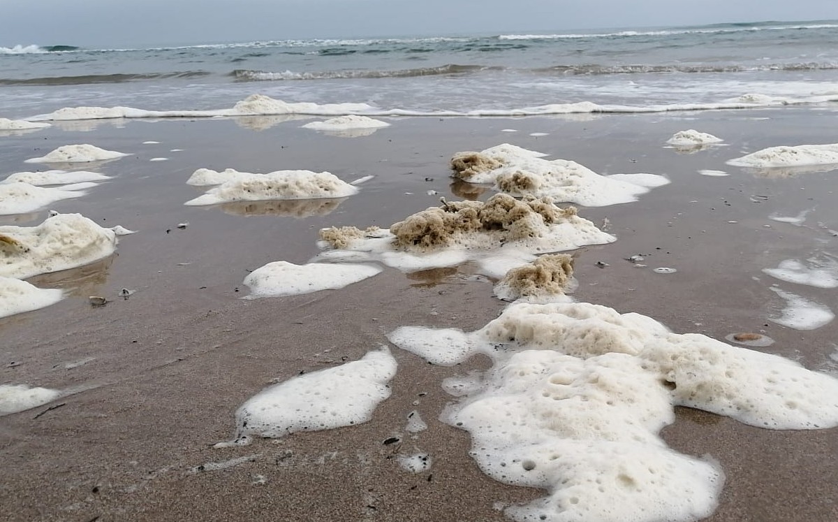 spuma en playa Miramar puede provocar toxinas por Marea Roja