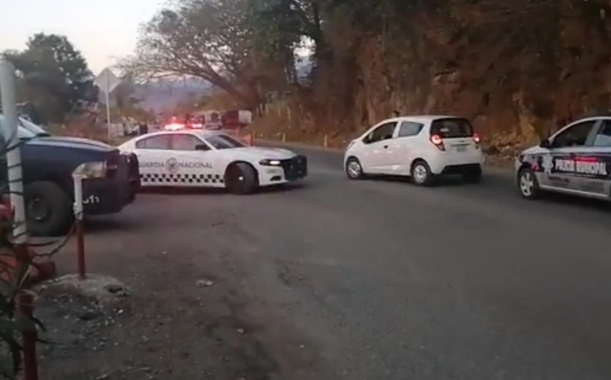 Se confirmó que no hubo pérdida de vidas humanas ni personas lesionadas. | Especial