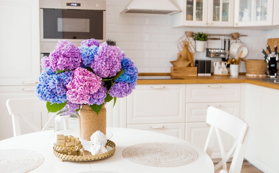 Flores hortensias (Shutterstock)