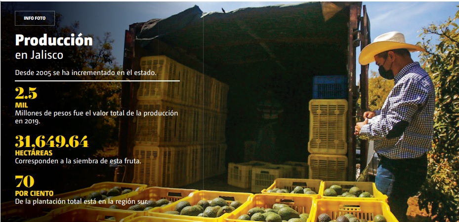 • Fuente: Instituto de Información Estadística y Geográfica de Jalisco.  (Especial)