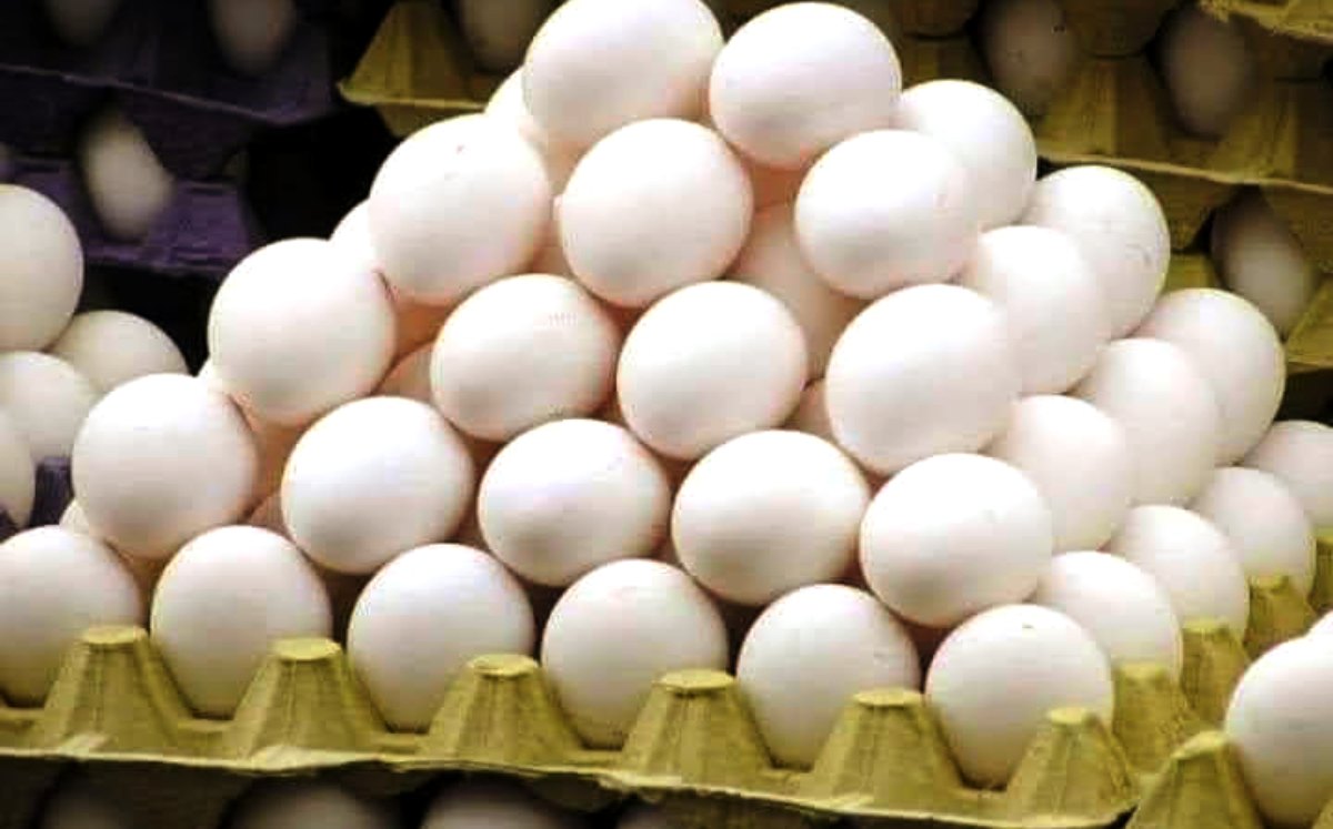 Sin motivos para aumentar el precio del kilogramo de huevo en Tehuacán: Asociación de Avicultores | Especial